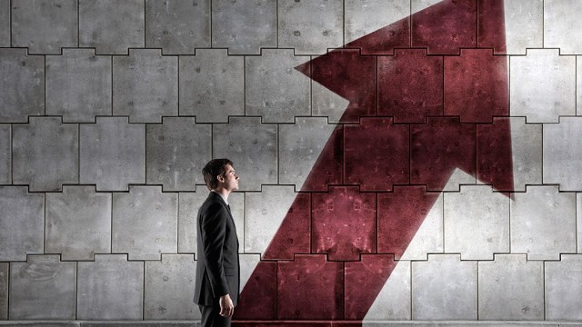 Professional Executive Coaching